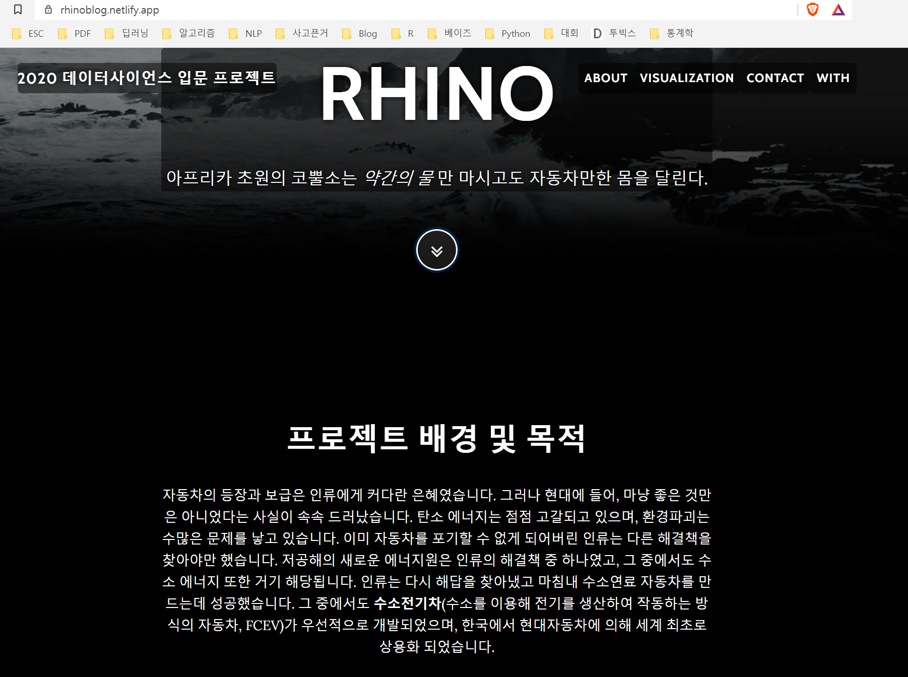 rhino_blog